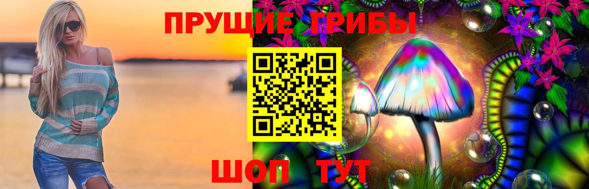 Галлюциногенные грибы Psilocybine cubensis  Кыштым 